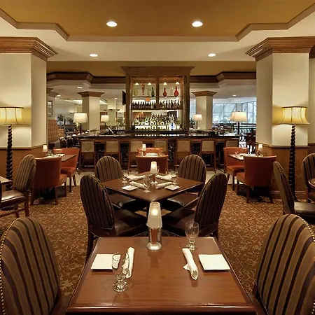 Sheraton Detroit Novi 